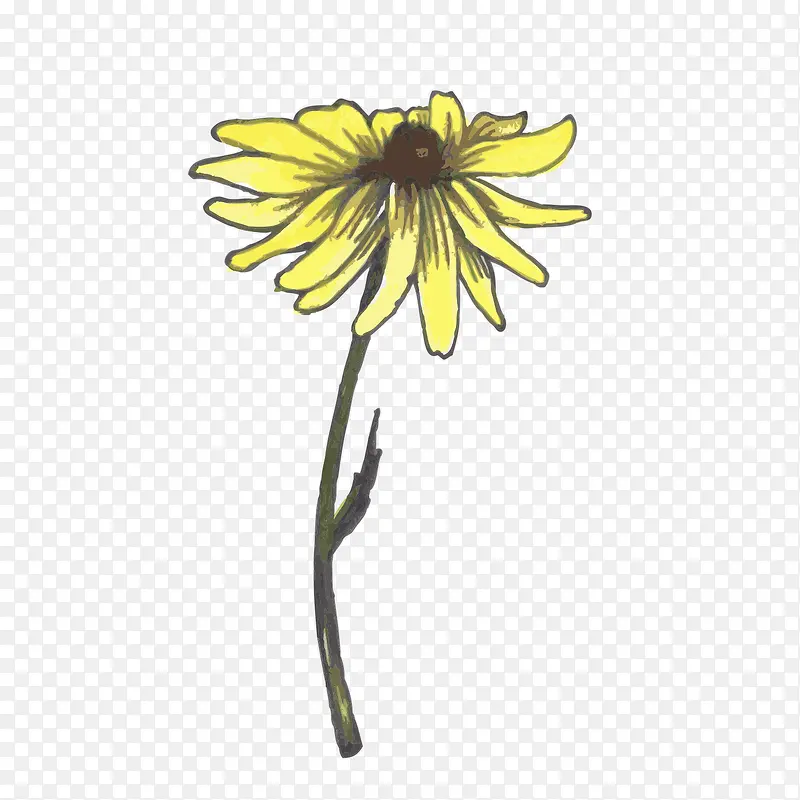 ��֦�ϵĻ�-������