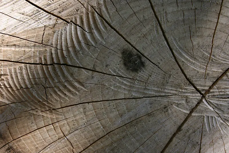 ľͷ�Ѻ۱���-������