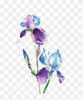 ˮ�ʻ���-������