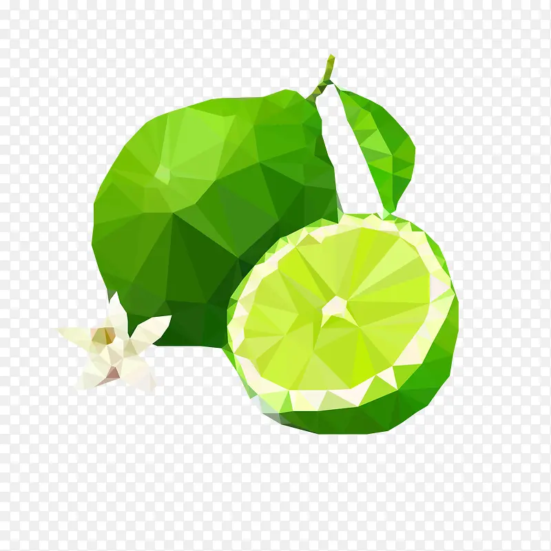 ��ɫԲ������ʳ��Ԫ��-������