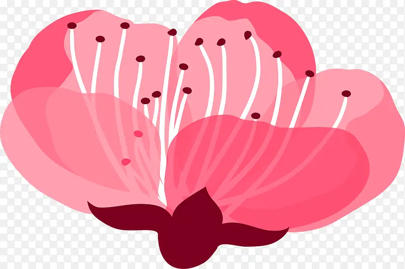 ��ɫ�һ�-������