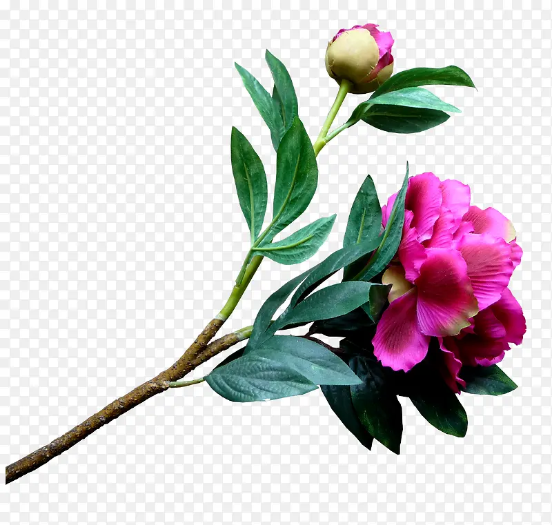 ����ͼ���زĻ����ز�-������