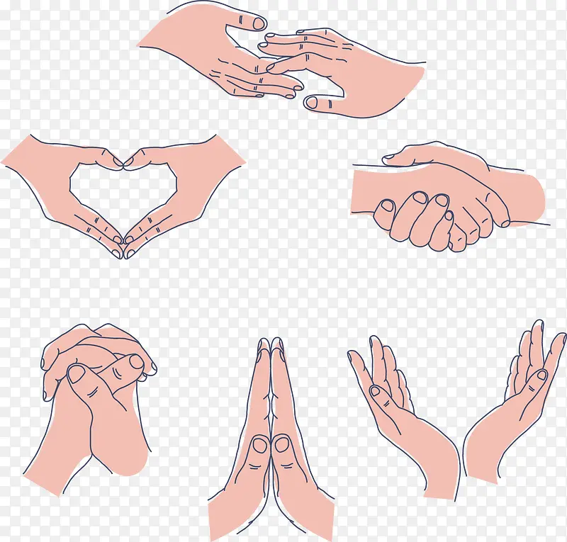 ʸ���ֻ�6����ͬ����-������