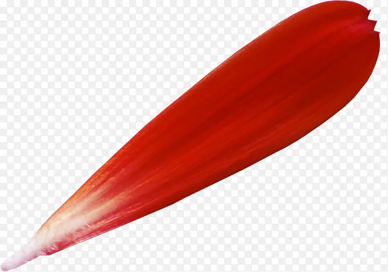 С�����زĶ�̬�Ļ���-������