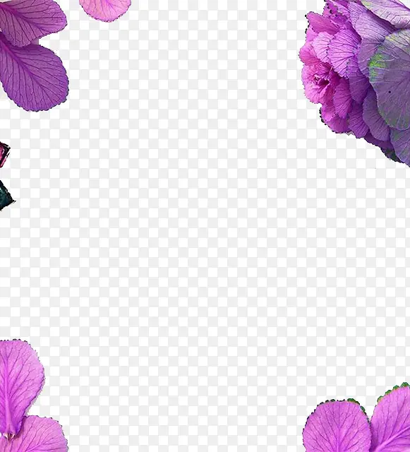 ��ɫ����߿�͸���ز�-������