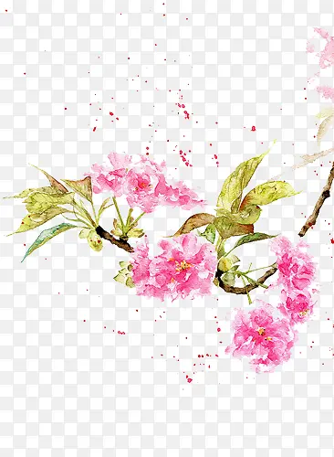 ˮ�ʷ�ɫ����Ԫ��-������