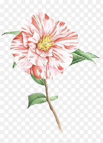 �ֻ�ˮ�ʻ�������Ԫ��-������