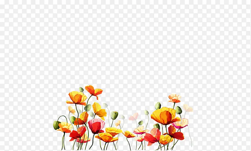 ˮ�ʻ�-������