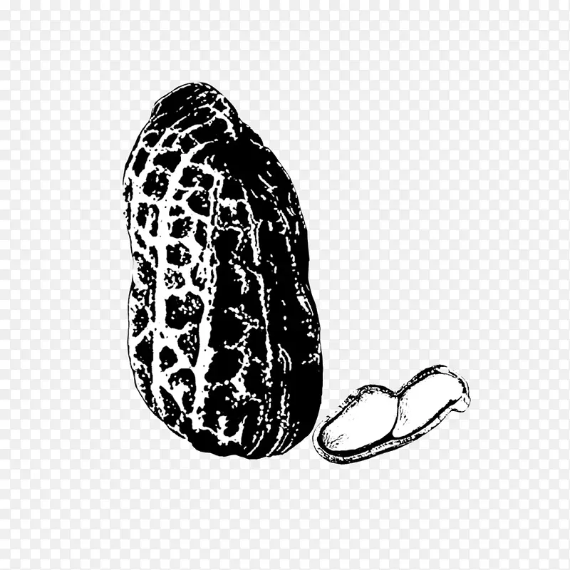 �����ֻ�����ز�-������