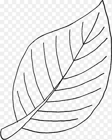 �ֻ���Ҷ-������