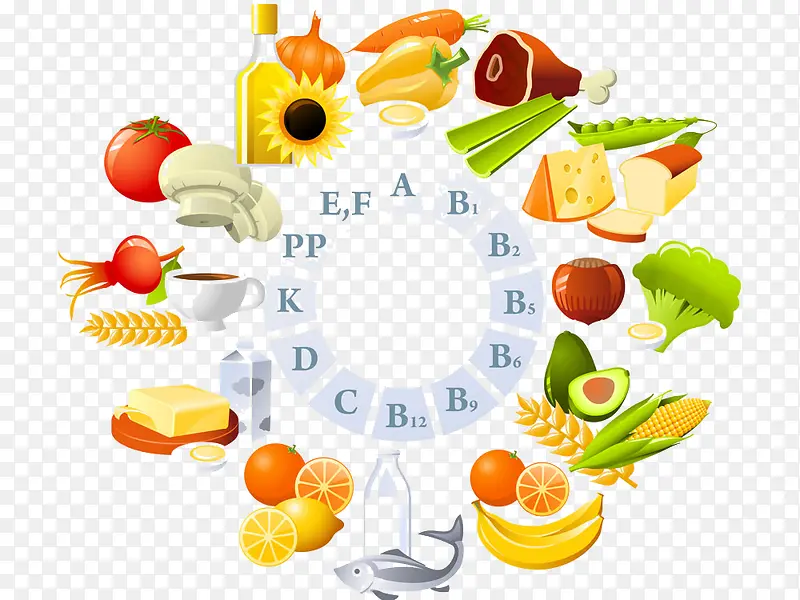 ʳ��Ӫ��ʸ��ͼ�ز�-������