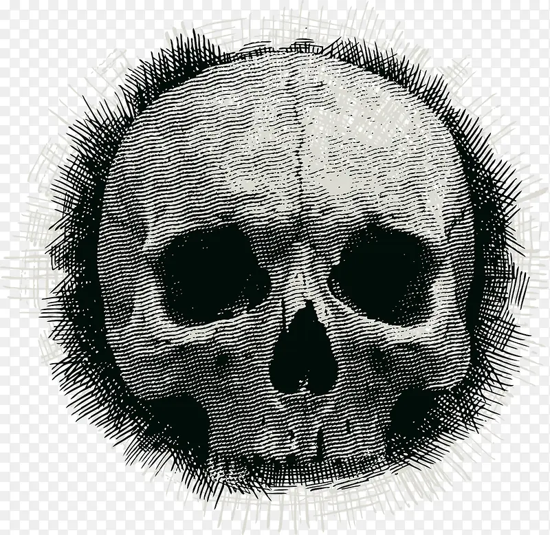 �ֻ��������ز�ʸ��-������