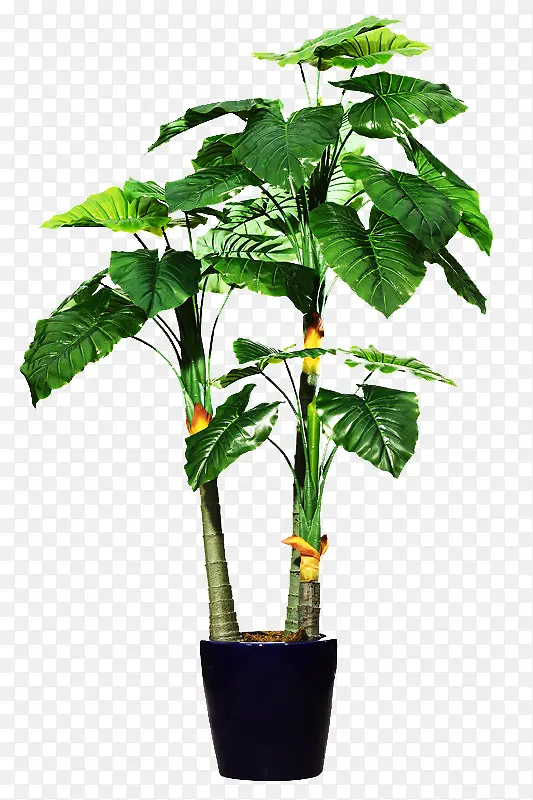 ����Ŀ�����ͼƬ�ز�-������