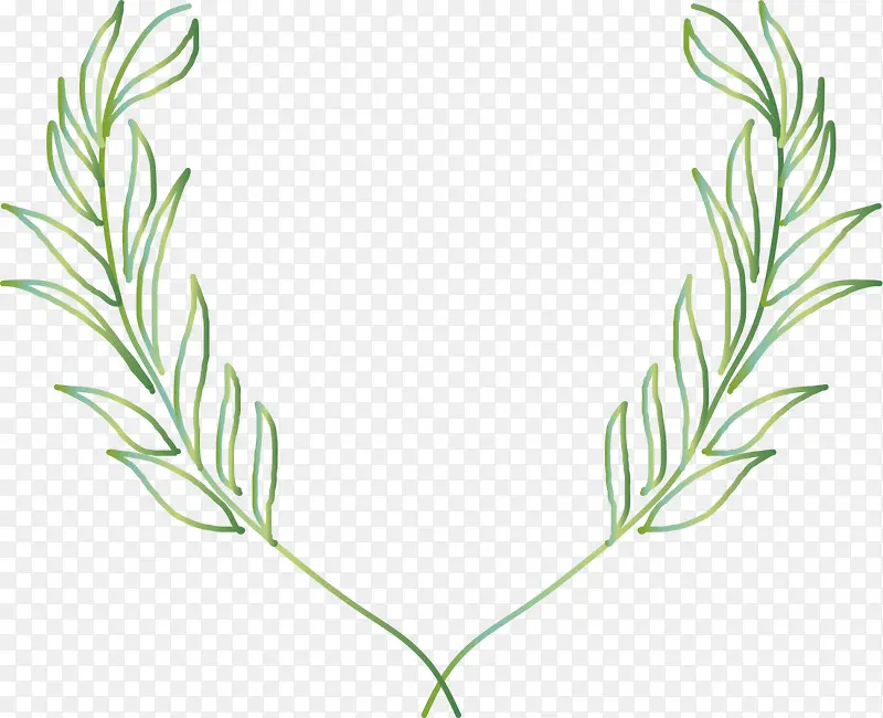 ��ɫ��������ֲ����-������