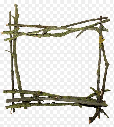 ��֦��ķ��Ϳ��-������