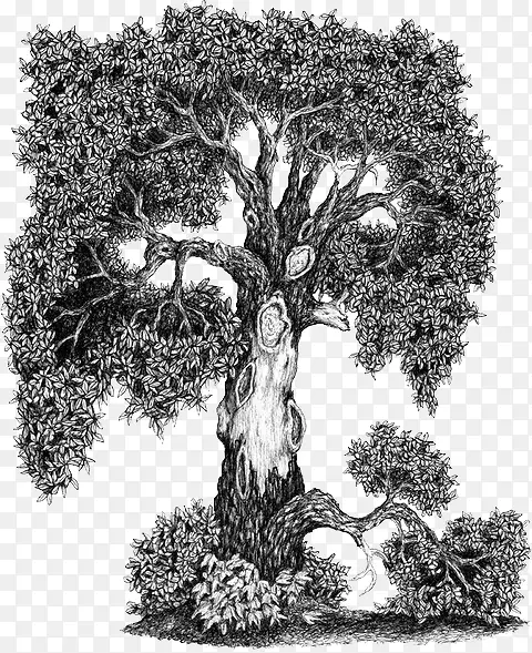 ��-������