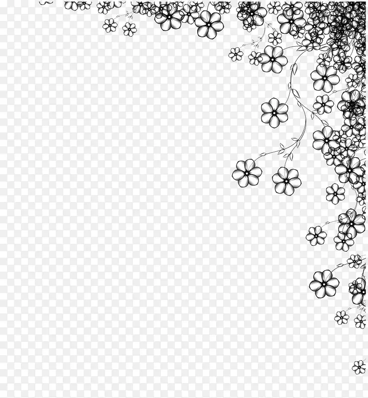 ����߿�-������