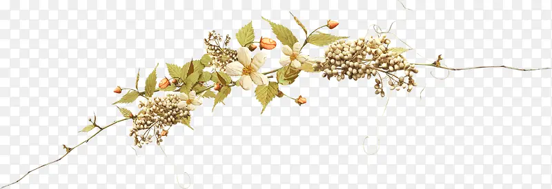 ��ɫ��֦-������