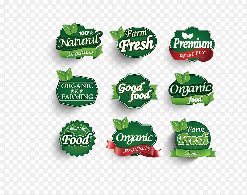 ��ɫ�߿�-������