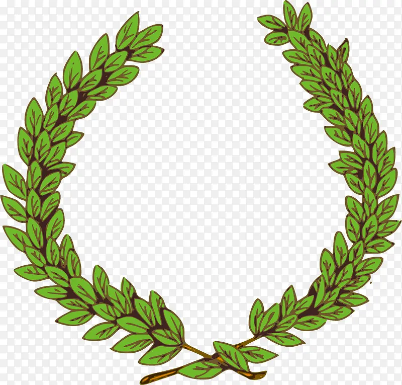 ��ɫ�Գƻ����߿�-������