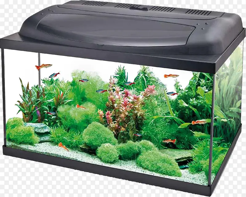 ͸���������-������