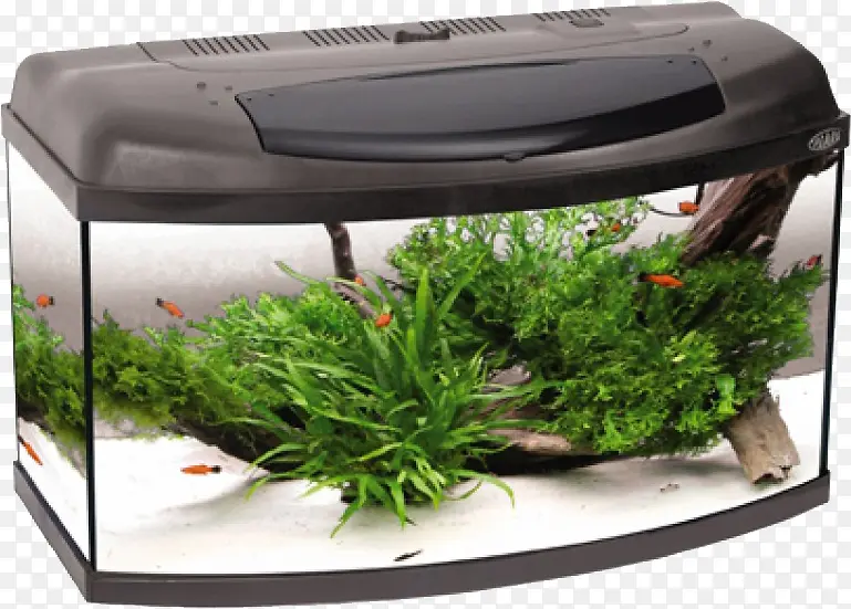 ����ˮ��-������