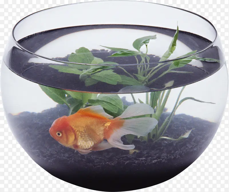 ͸������ˮ��-������