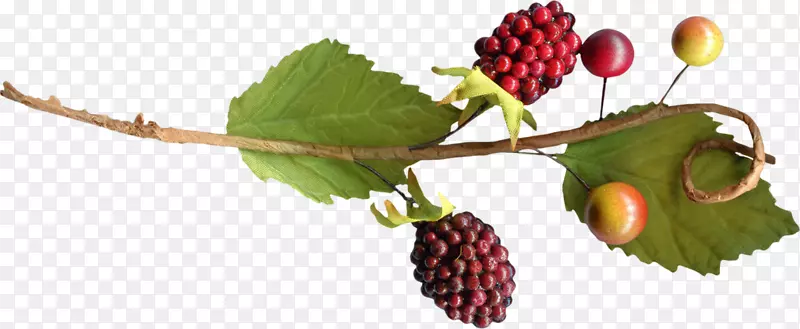 �¸���˹ˮ��������-�ж���-������