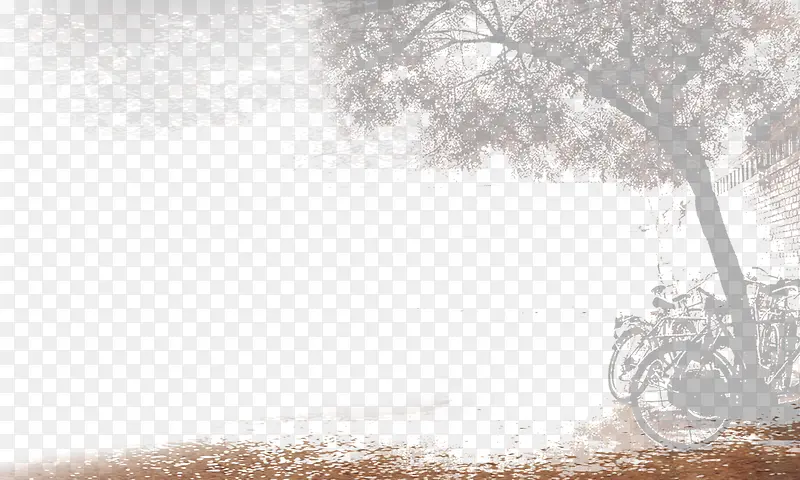 ���µ����г�-������