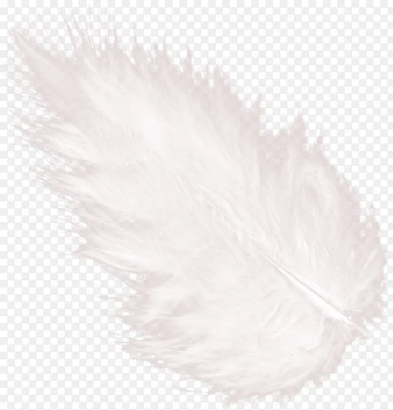 ��ɫ��ë-������