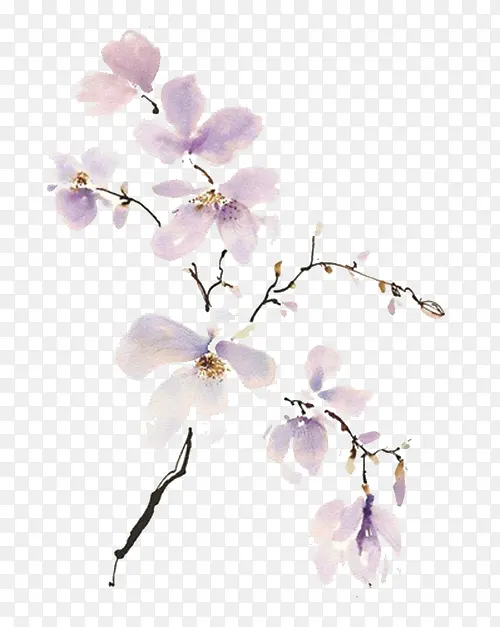 ��ɫ�һ�-������