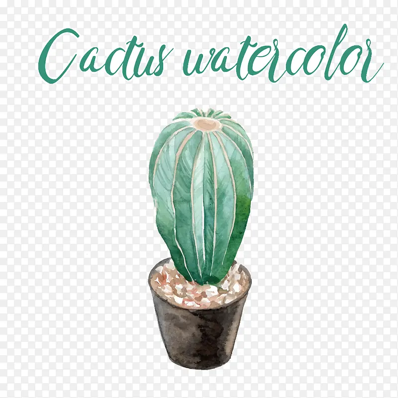 ����������-������