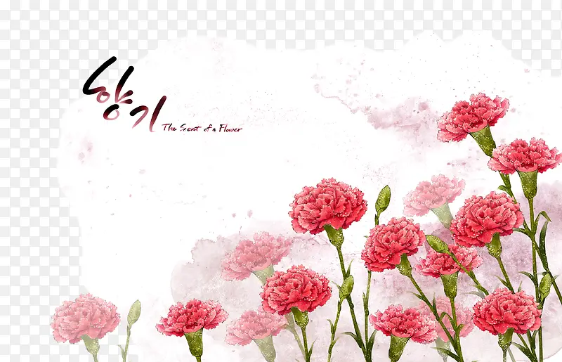 ˮ�ʻ���-������