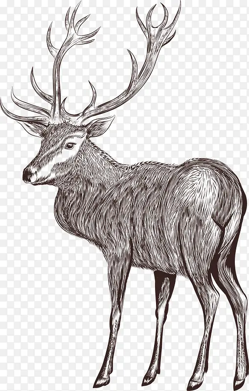 ��ͨ��������綯��װ�κ������-������