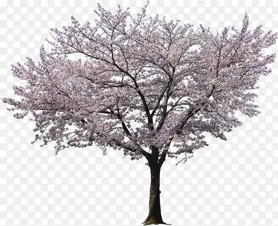 ��-������