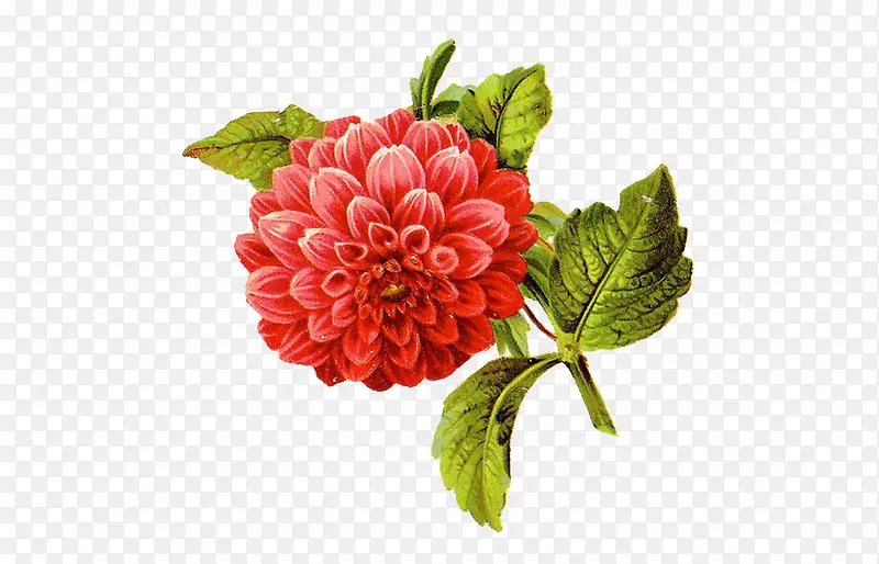 �ͻ�ĵ��-������