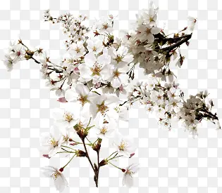 �һ��Ա�����������ҳ-������