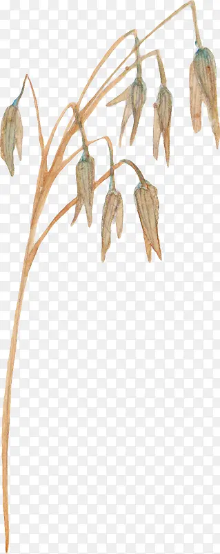 �ֻ��֦-������