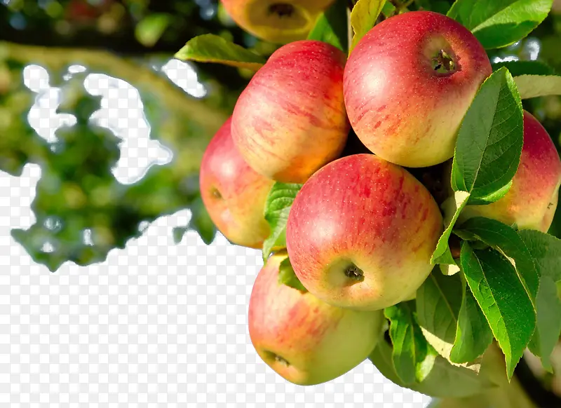 ˮ����������-������