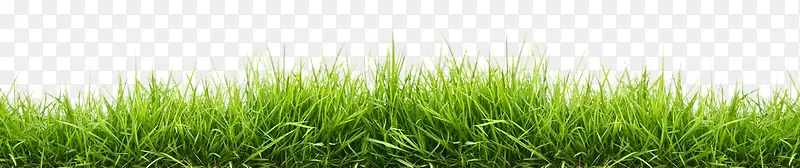 ��ƺ-������