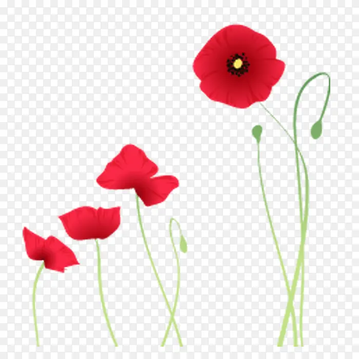 ����ʱ�к�ɫС��-������