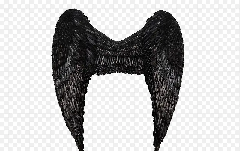 ��ɫ�ĳ��-������