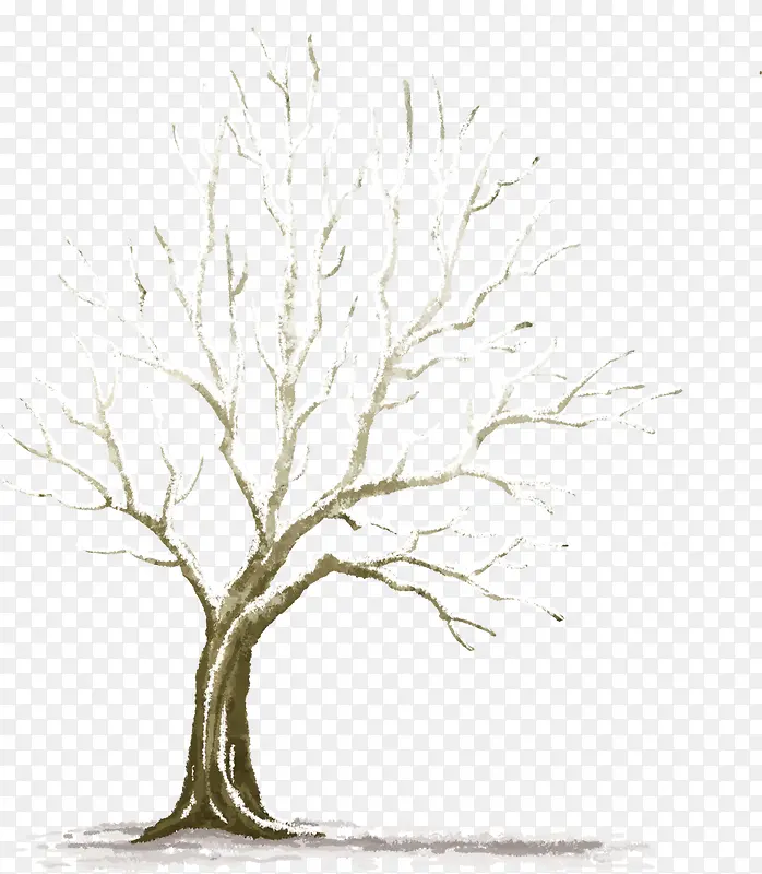 ����������֦ͼƬ-������