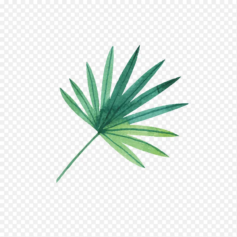 ����Ҷ���������-������