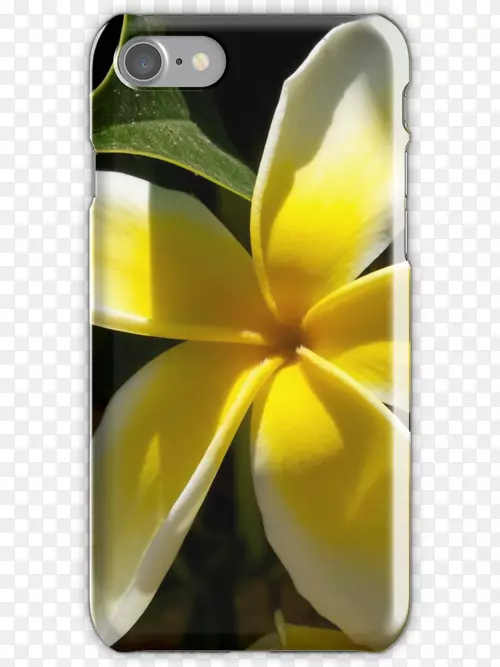 ���ܰ�������Ӱ��Ȼ-÷��-������