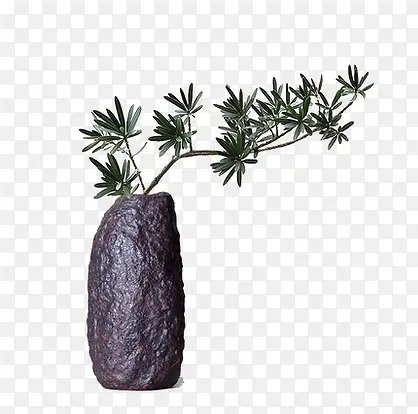 ʯͷƿ����ֲ֦��-������