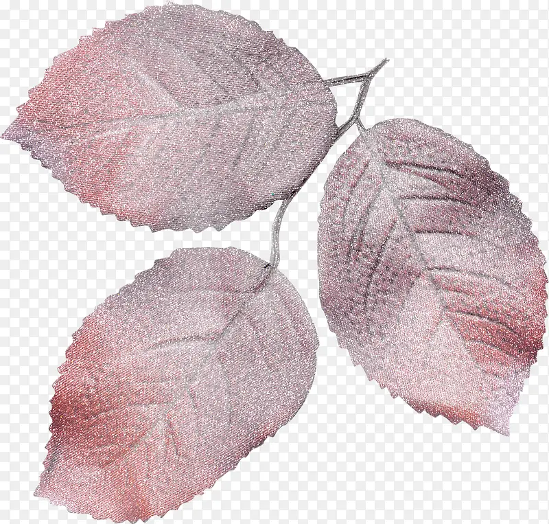 Ư����Ҷ-������