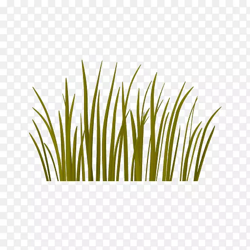 ����ӳ������Colada��Ⱦ.��������-������