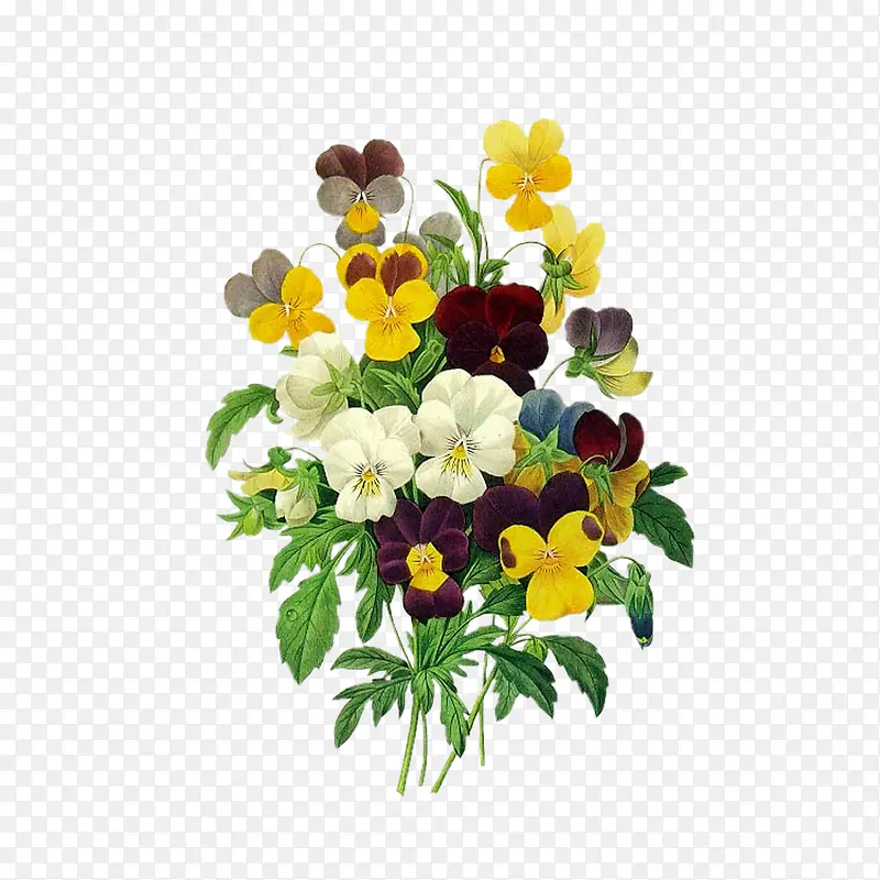 ��ʵĻ�����ɵĻ���-������