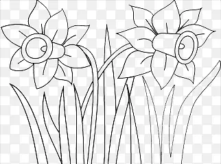 ����-������